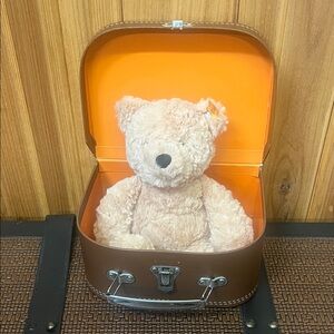 Adorable Cream Teddy Bear in Brown Case